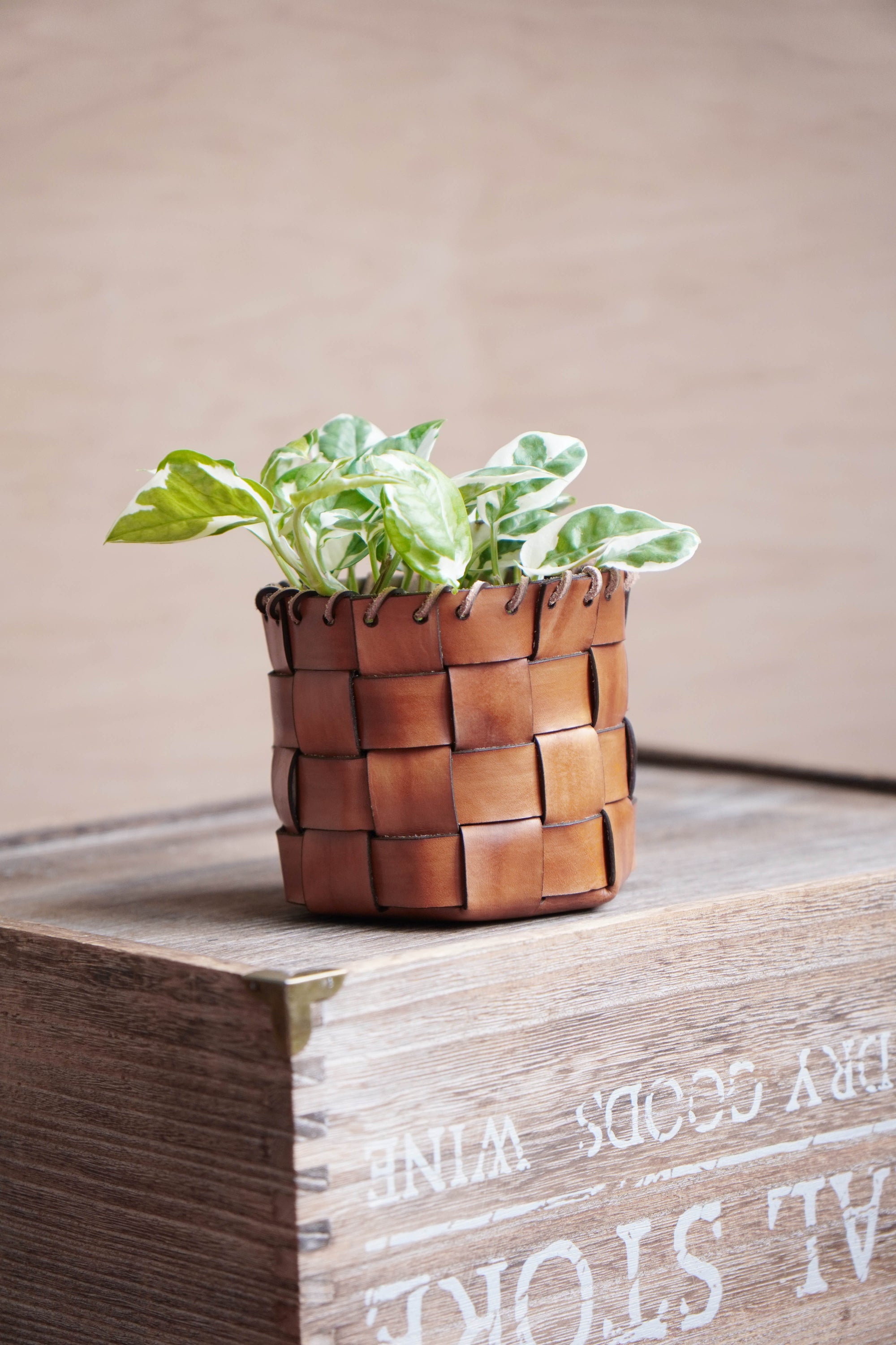 No Stitch Woven Basket Pattern (No.35)