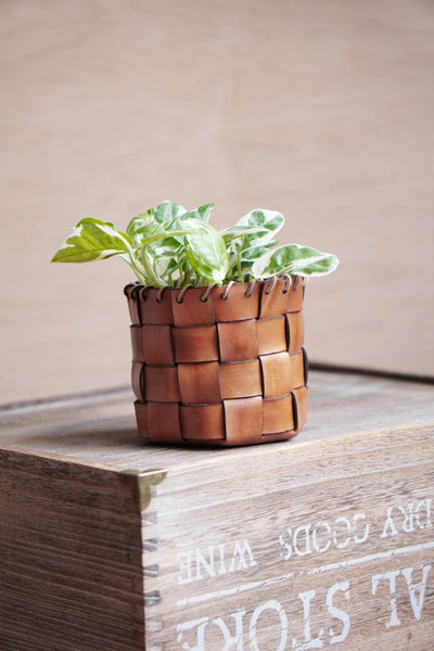 No Stitch Woven Basket Pattern (No.35)