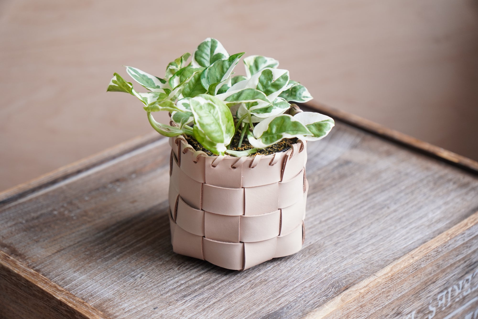 No Stitch Woven Basket Pattern (No.35)