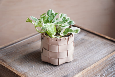 No Stitch Woven Basket Pattern (No.35)