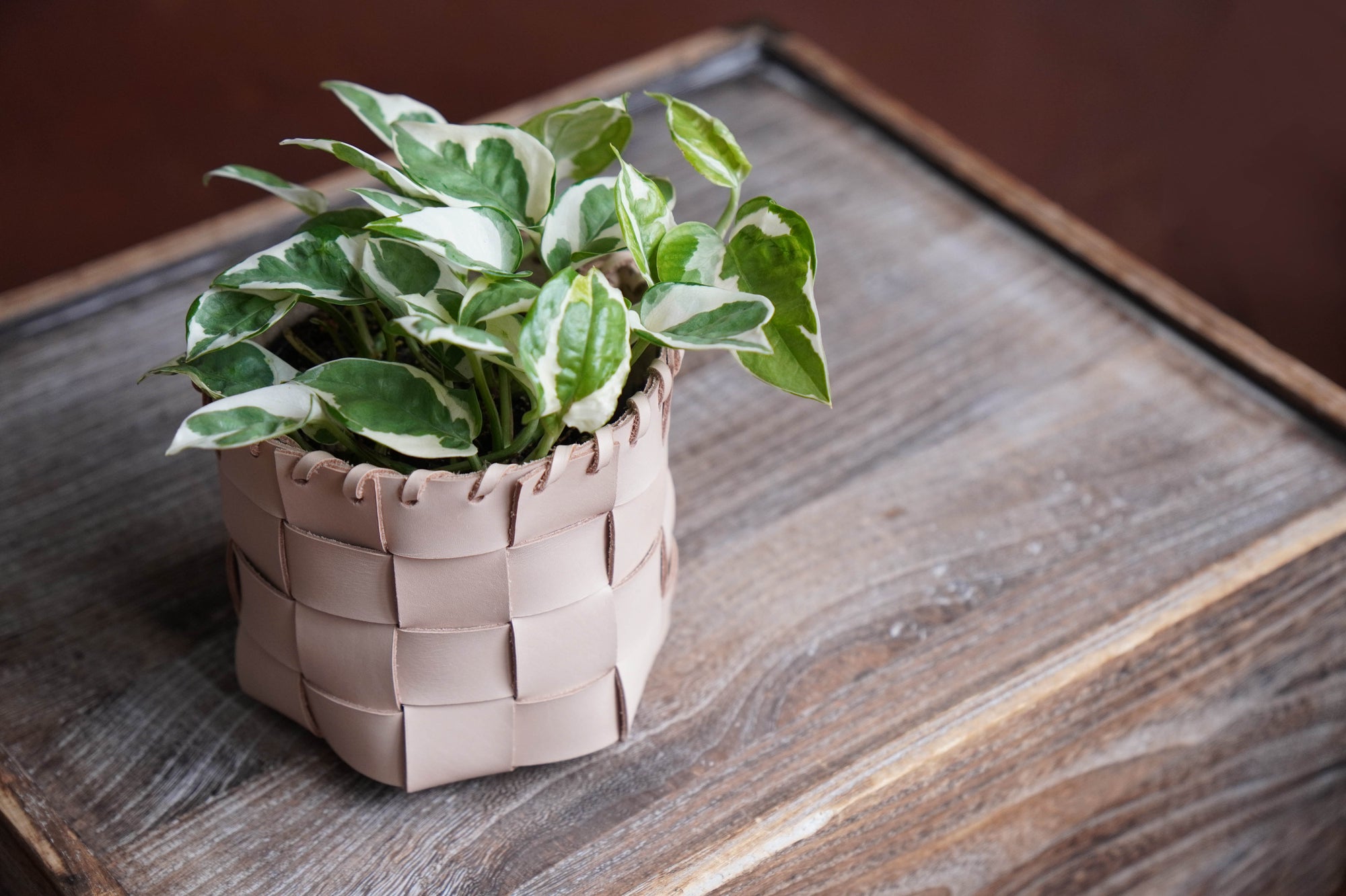 No Stitch Woven Basket Pattern (No.35)