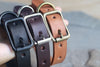 Leather Pet Collar