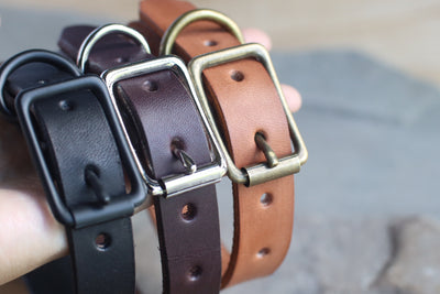 Leather Pet Collar