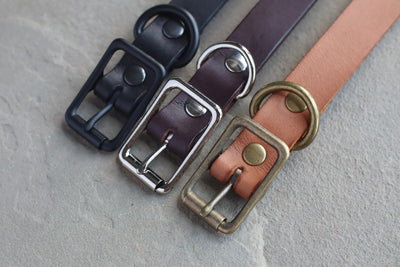 Leather Pet Collar