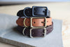 Leather Pet Collar