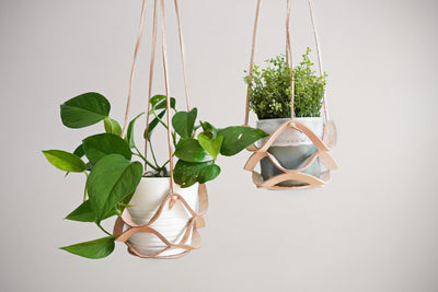 Leather Plant Hanger