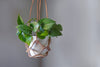 Leather Plant Hanger